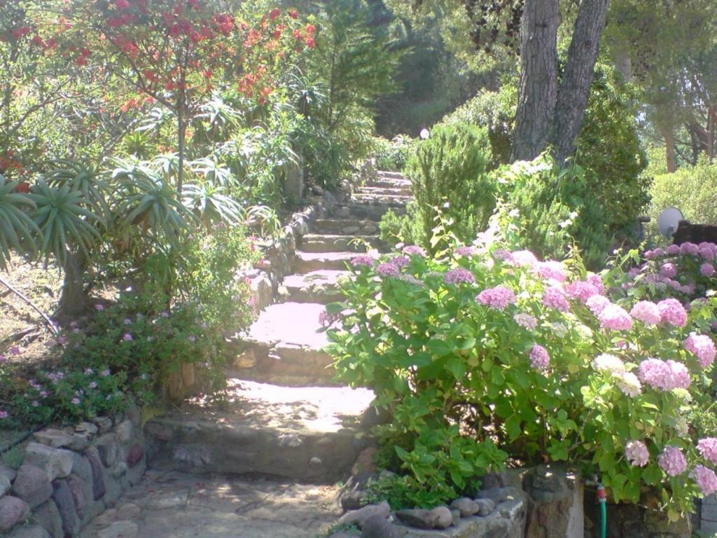 Auberge Ferayola Galeria  Luaran gambar