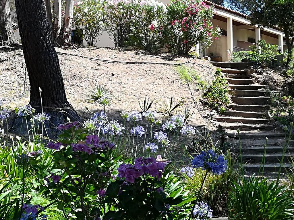 Auberge Ferayola Galeria  Luaran gambar